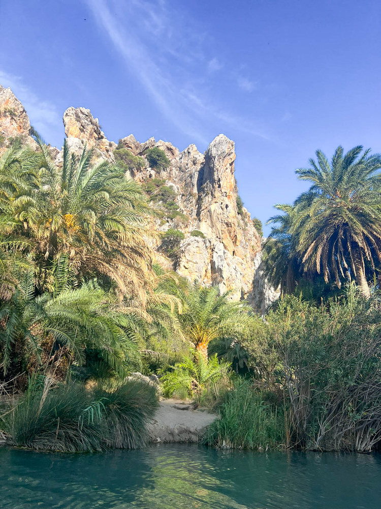 Preveli Palm Beach in Crete, where a freshwater river meets lush palm trees and vegetation. The scene is framed by dramatic limestone cliffs rising against a bright blue sky. Palm trees and other tropical plants line the riverbank, creating an oasis-like setting. The water appears calm and reflective, with a blue-green tint characteristic of the area's famous freshwater lagoon.