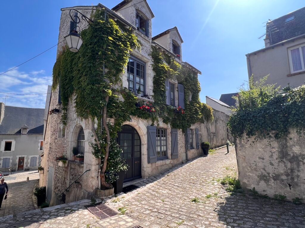 A picturesque stone house on a cobblestone street, draped in lush green ivy and adorned with blue shutters and vibrant red flowers. The scene is bathed in warm sunlight, with a vintage-style lamp hanging nearby, adding to the charm of this quaint French village.