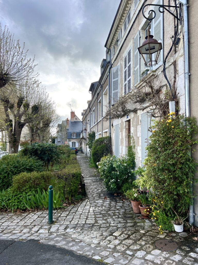 A charming cobblestone pathway lined with neatly trimmed hedges and vibrant potted flowers leads past stone houses with blue shutters. A vintage lantern hangs from the side of the building, while the overcast sky adds a serene, moody atmosphere to this quaint European village scene.