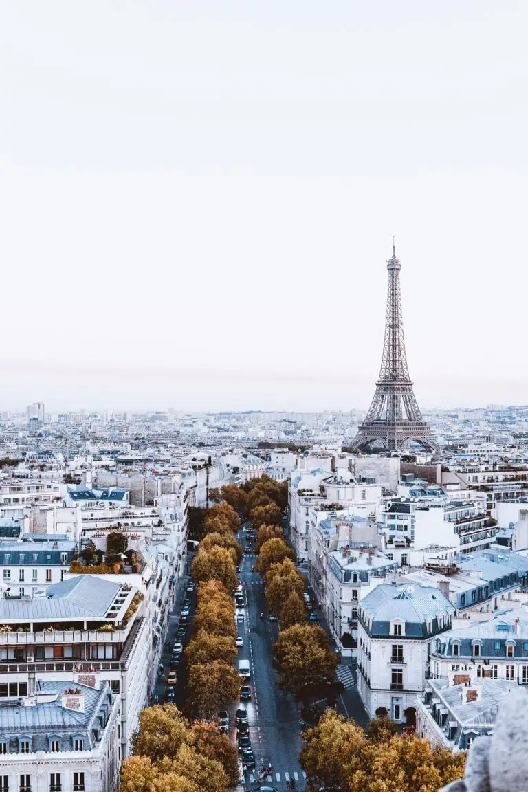 A skyline of Paris during Winter. Image source : Pixabay