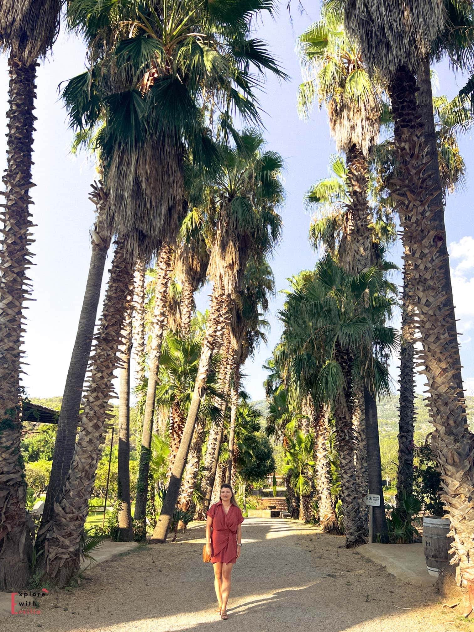 Woman in a terracotta-colored dress standing on a path lined with tall palm trees at Finca Can N'ai, creating a dramatic perspective with the towering palms reaching toward a bright blue sky.