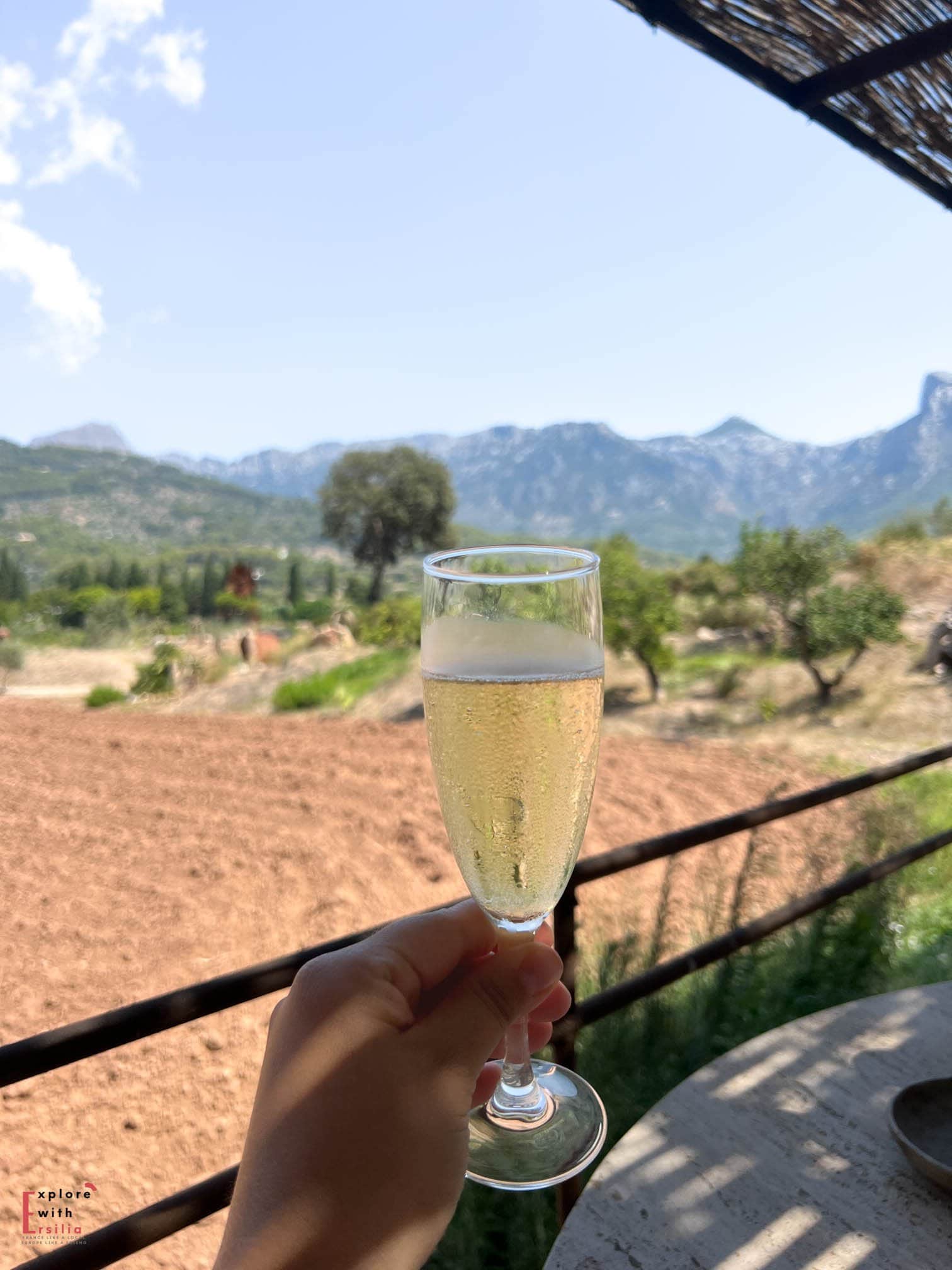 A hand holding up a glass of sparkling wine at Finca Can n'ai, with Mallorca's Serra de Tramuntana mountains in the background. The view overlooks rustic farmland with olive trees, framed by a reed-covered pergola edge against a bright blue sky.