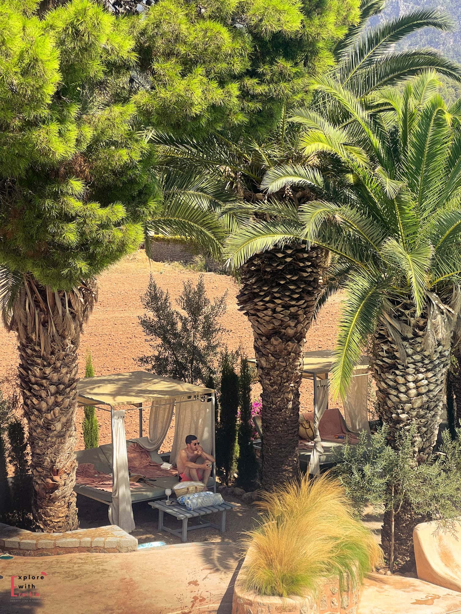 View of private poolside cabanas at Finca Can N'ai, sheltered by tall palm trees and ornamental pines. The curtained daybeds offer shaded relaxation spots, with decorative grasses and Mediterranean plants adding to the tropical atmosphere.