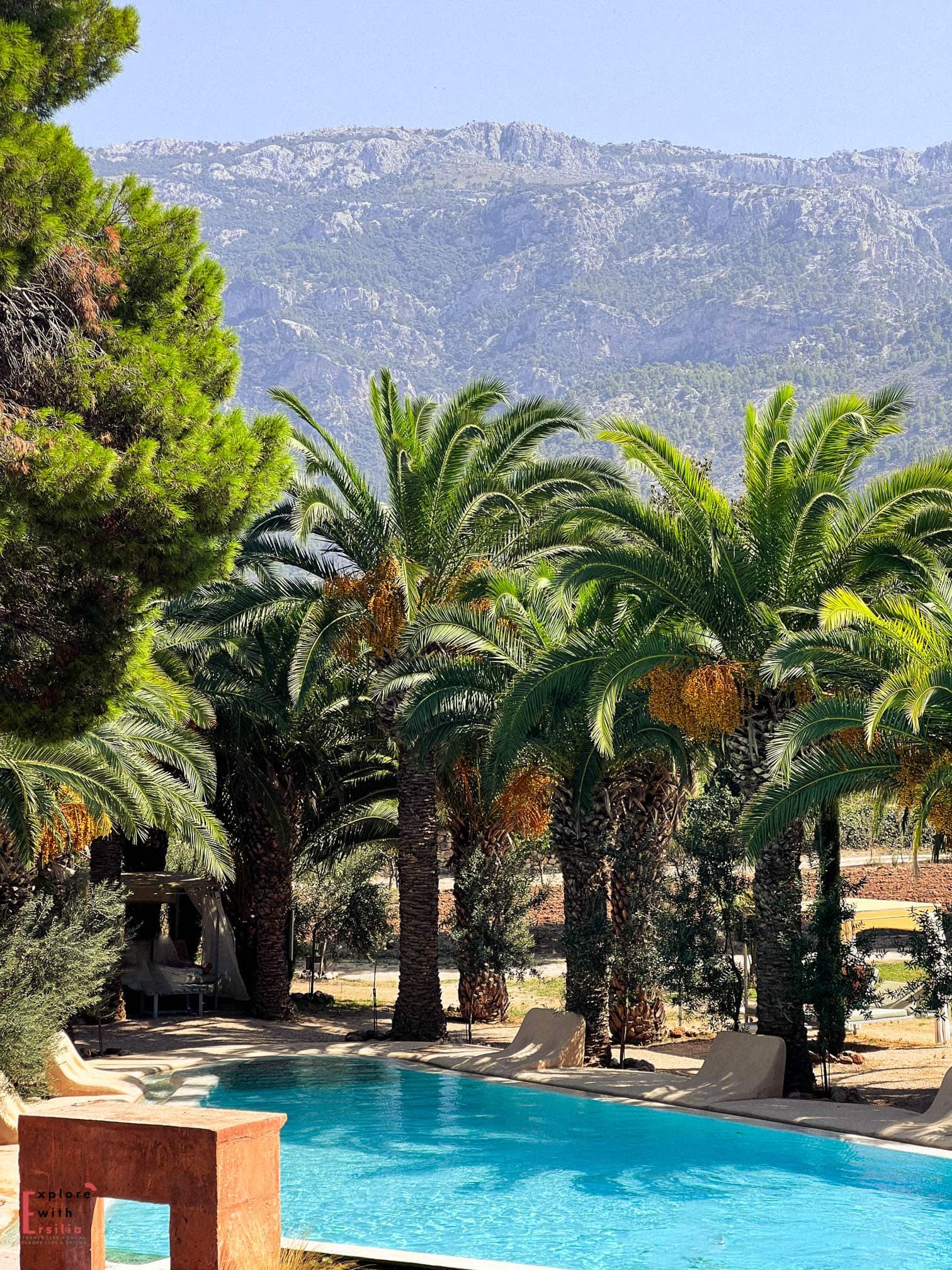 Swimming pool at Finca Can N'ai surrounded by mature palm trees, with the dramatic Serra de Tramuntana mountains rising in the background. Cream-colored loungers line the turquoise pool under the shade of palm fronds.