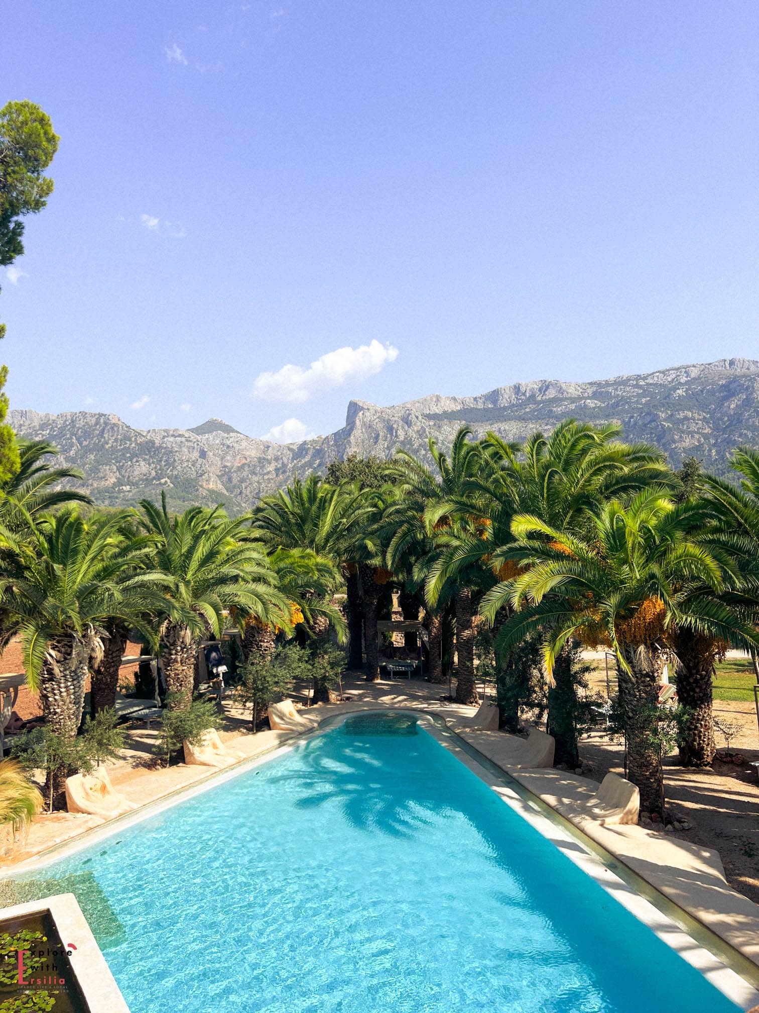 Elevated view of a turquoise swimming pool at Finca Can N'ai, lined with mature palm trees and overlooking the dramatic Serra de Tramuntana mountains, with curved sun loungers positioned along the poolside.