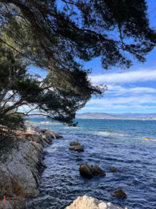 Rocky coastal landscape of Île Sainte-Marguerite with pine tree branches framing a view of deep blue Mediterranean waters, rocky shoreline, and distant Cannes coastline under a bright blue sky