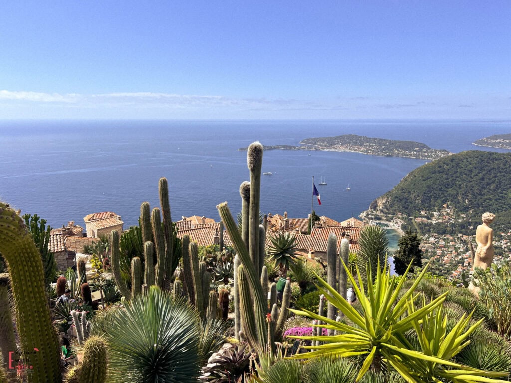 Panoramic view from Jardin Exotique d'Èze showing tall cacti and succulent plants in the foreground, with terracotta-roofed buildings of the medieval village, a French flag, and sweeping vistas of the Mediterranean coastline including Cap Ferrat peninsula, azure waters, and distant horizons under clear blue skies.