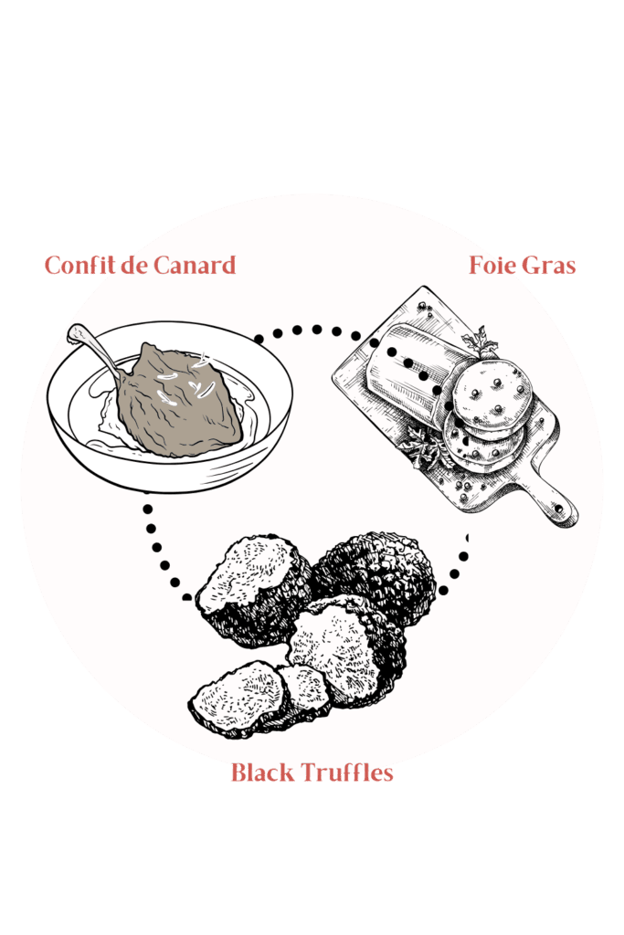 Illustration of the 'Périgord's Gastronomic Holy Trinity' featuring hand-drawn images of three regional delicacies: confit de canard (duck confit in a bowl), foie gras (duck liver terrine on a wooden board with garnish), and black truffles (showing whole and sliced specimens), connected by dotted lines to form a culinary triangle.