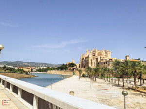 a photo showing the cathedral in Palma de mallorca, on a sunny day from a distance and showing that there were no people there when visiting