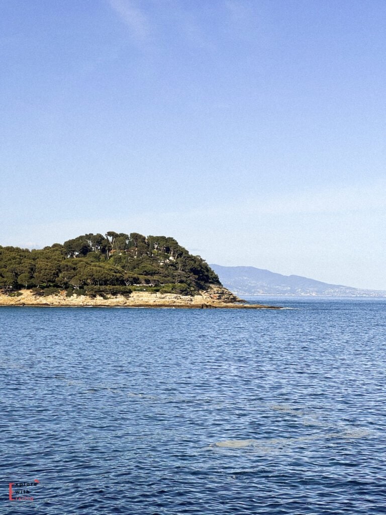 A view across calm blue Mediterranean waters towards a small peninsula or island covered with dense pine trees at Saint-Jean-Cap-Ferrat, France. Rocky shorelines are visible at the water's edge, and distant mountains create a hazy backdrop along the French Riviera coastline under a clear blue sky.