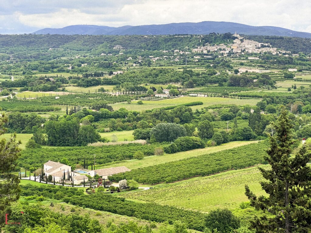 Panoramic view from Lacoste, one of the best villages to see in Provence, showcasing rolling vineyards, cypress-lined roads, and stone farmhouses—an idyllic scene perfect for a day trip from Aix en Provence.