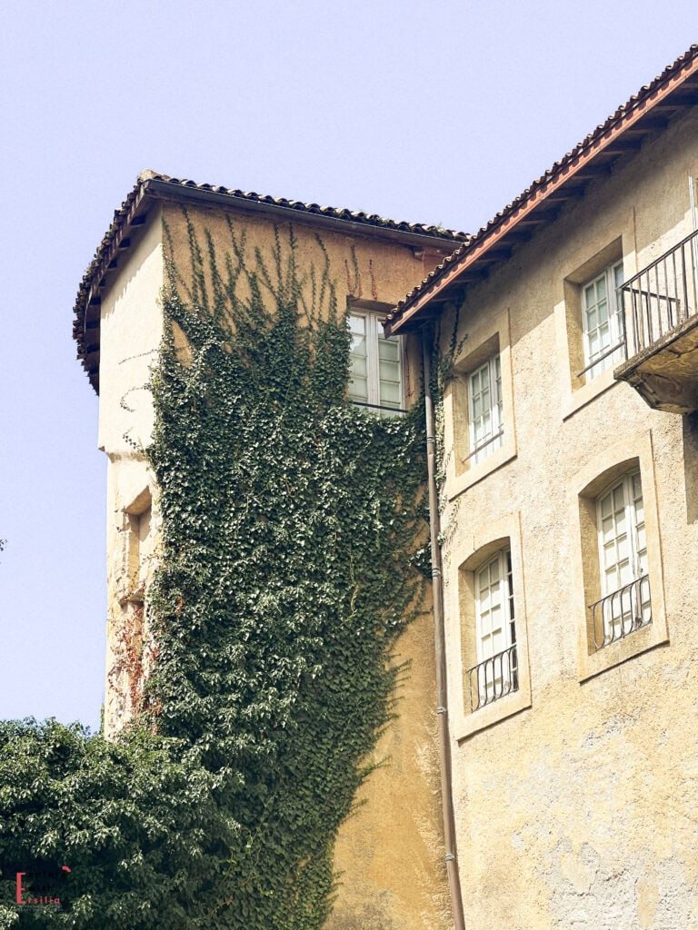 A corner view of a historic building in Bayonne, France with cream-colored stone walls partially covered by climbing ivy. The traditional Basque structure features a curved tower section, terracotta roof tiles, multiple windows with white wooden frames, and small iron balconies. This heritage building, identified as Château Vieux (Old Castle) in Bayonne, exemplifies regional architectural style against a pale blue sky.