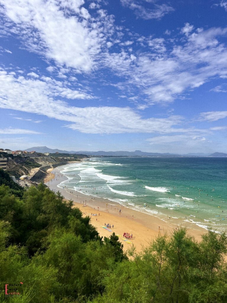 Panoramic view of Plage de la Côte des Basques in Biarritz, featuring a long stretch of golden sand beach alongside turquoise Atlantic waters with rolling waves. The beach is viewed from an elevated position with pine trees in the foreground, showing beachgoers and surfers enjoying the water. Rocky cliffs line the coastline, with buildings visible at the top, and the Pyrenees mountains create a dramatic backdrop on the horizon under a vibrant blue sky with wispy clouds.