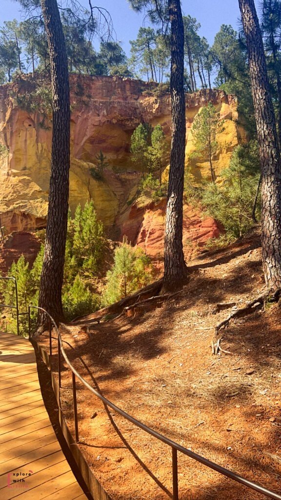 A wooden boardwalk winds through a pine forest at the Sentier des Ocres, with towering cliffs of yellow and red ochre rock formations glowing in the sunlight behind tall tree trunks.